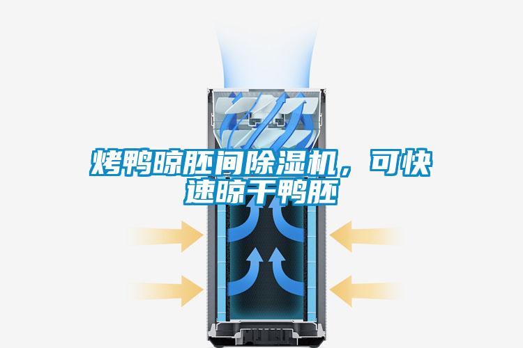 烤鴨晾胚間除濕機(jī)，可快速晾干鴨胚