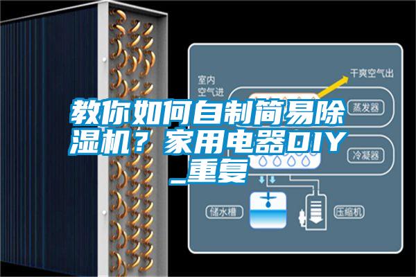 教你如何自制簡(jiǎn)易除濕機(jī)？家用電器DIY_重復(fù)