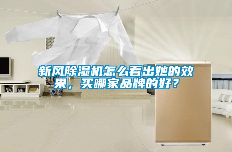 新風(fēng)除濕機(jī)怎么看出她的效果，買哪家品牌的好？