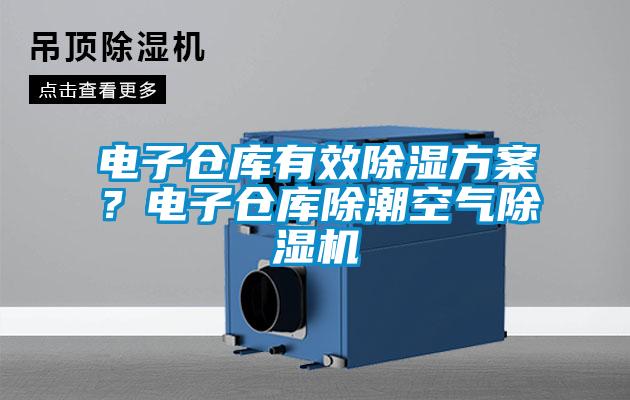 電子倉庫有效除濕方案？電子倉庫除潮空氣除濕機