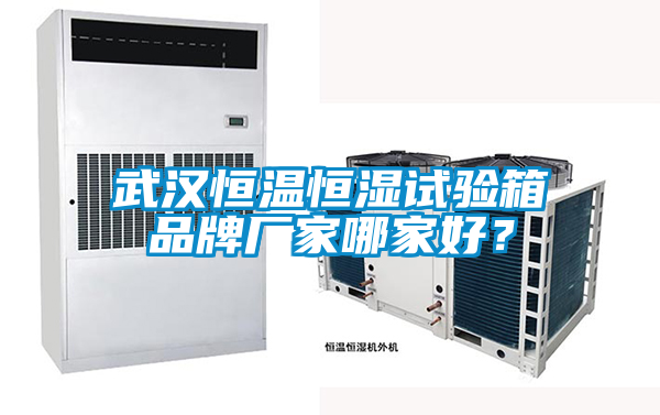 武漢恒溫恒濕試驗箱品牌廠家哪家好？