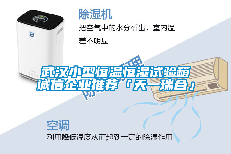 武漢小型恒溫恒濕試驗(yàn)箱誠信企業(yè)推薦「天一瑞合」