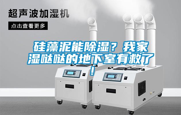 硅藻泥能除濕？我家濕噠噠的地下室有救了！