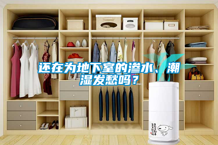 還在為地下室的滲水、潮濕發(fā)愁嗎？