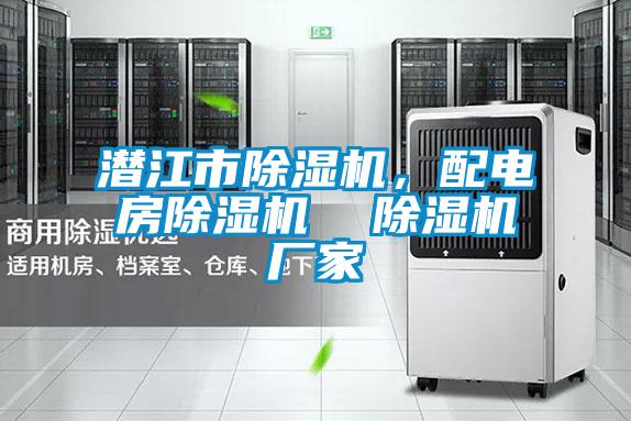 潛江市除濕機(jī)，配電房除濕機(jī)  除濕機(jī)廠家