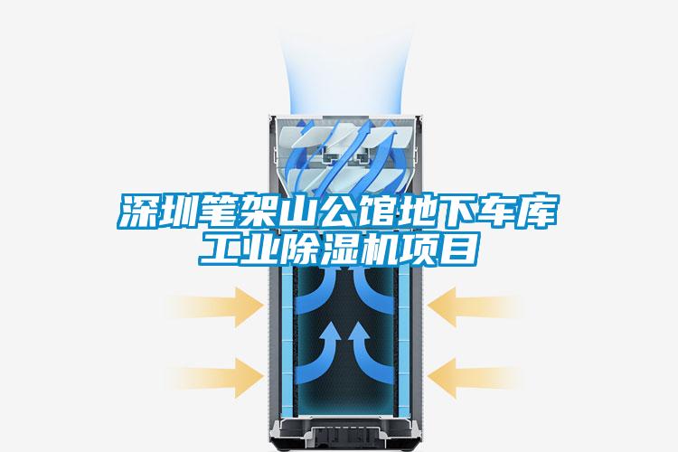 深圳筆架山公館地下車庫工業(yè)除濕機(jī)項目