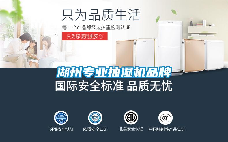 湖州專業(yè)抽濕機品牌