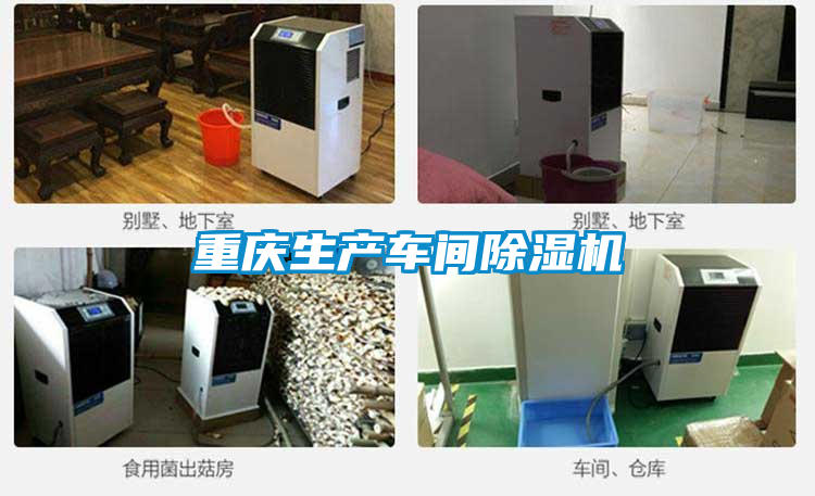 重慶生產(chǎn)車(chē)間除濕機(jī)