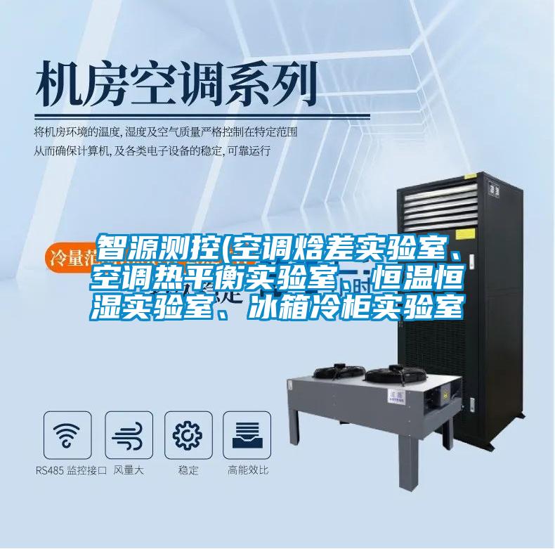 智源測控(空調(diào)焓差實(shí)驗(yàn)室、空調(diào)熱平衡實(shí)驗(yàn)室、恒溫恒濕實(shí)驗(yàn)室、冰箱冷柜實(shí)驗(yàn)室