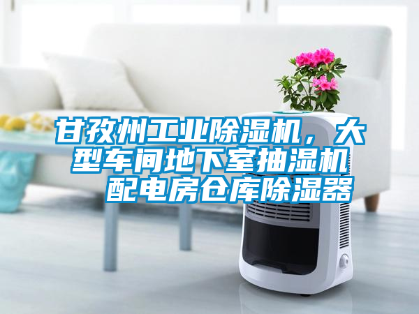 甘孜州工業(yè)除濕機，大型車間地下室抽濕機  配電房倉庫除濕器