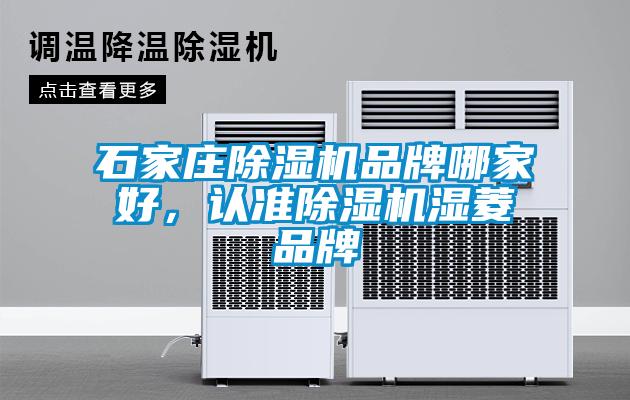 石家莊除濕機(jī)品牌哪家好，認(rèn)準(zhǔn)除濕機(jī)濕菱品牌