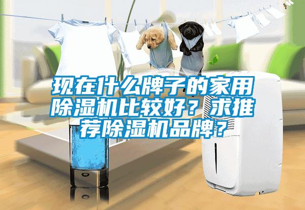 現(xiàn)在什么牌子的家用除濕機(jī)比較好？求推薦除濕機(jī)品牌？