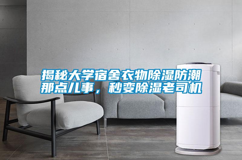 揭秘大學宿舍衣物除濕防潮那點兒事，秒變除濕老司機