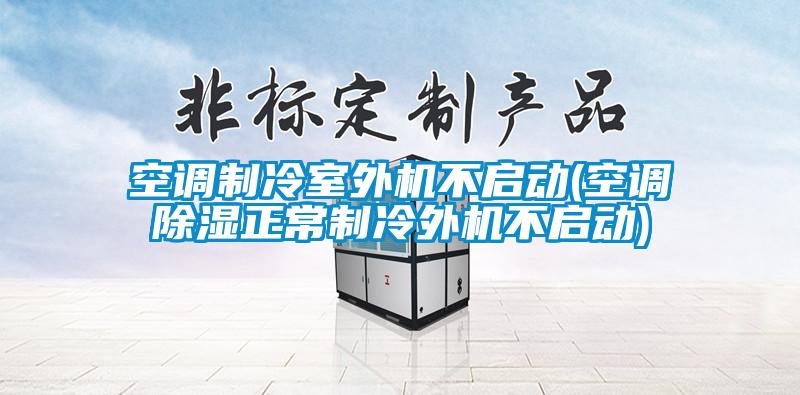 空調(diào)制冷室外機不啟動(空調(diào)除濕正常制冷外機不啟動)