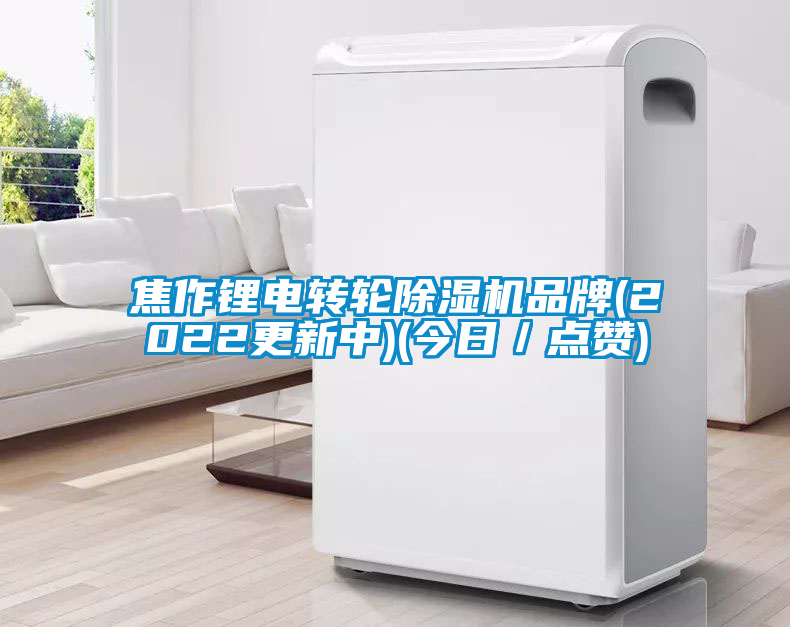 焦作鋰電轉(zhuǎn)輪除濕機(jī)品牌(2022更新中)(今日／點(diǎn)贊)
