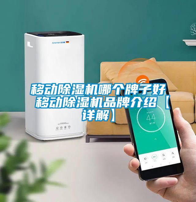 移動除濕機(jī)哪個(gè)牌子好 移動除濕機(jī)品牌介紹【詳解】