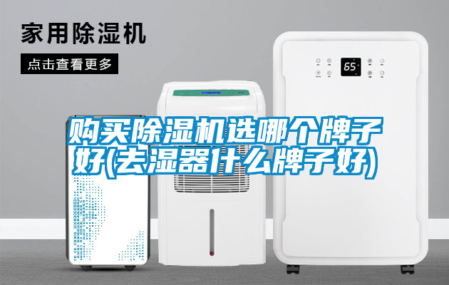 購(gòu)買除濕機(jī)選哪個(gè)牌子好(去濕器什么牌子好)