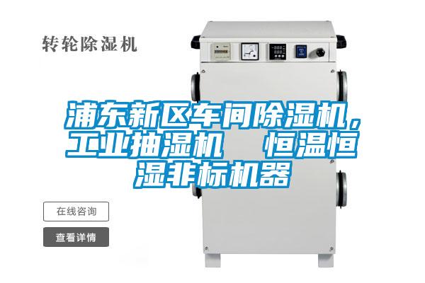 浦東新區(qū)車間除濕機，工業(yè)抽濕機  恒溫恒濕非標機器