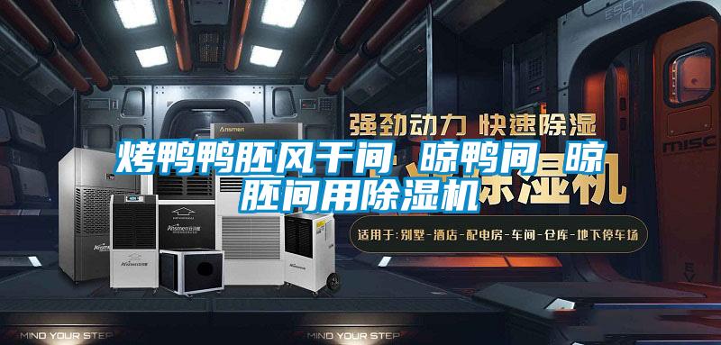 烤鴨鴨胚風(fēng)干間 晾鴨間 晾胚間用除濕機