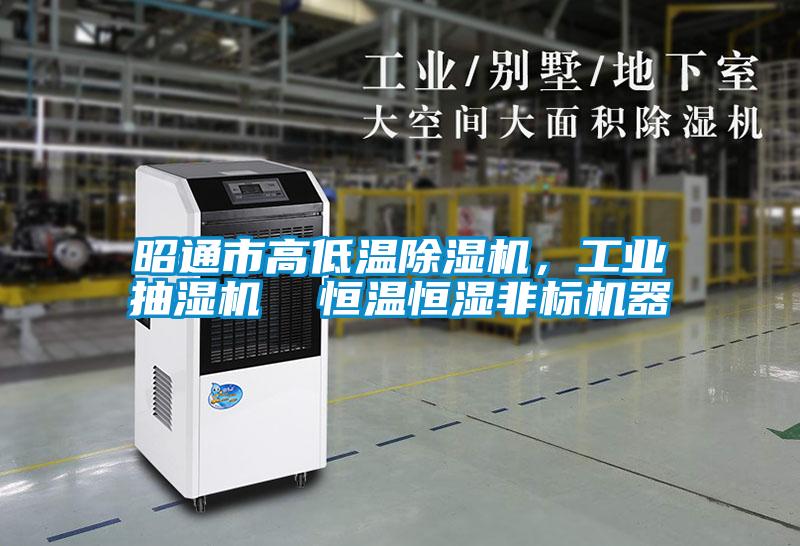 昭通市高低溫除濕機，工業(yè)抽濕機  恒溫恒濕非標(biāo)機器