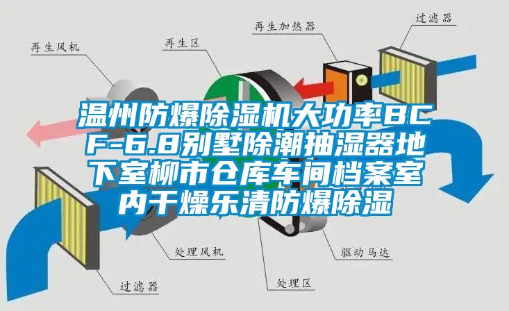 溫州防爆除濕機(jī)大功率BCF-6.8別墅除潮抽濕器地下室柳市倉(cāng)庫(kù)車間檔案室內(nèi)干燥樂(lè)清防爆除濕