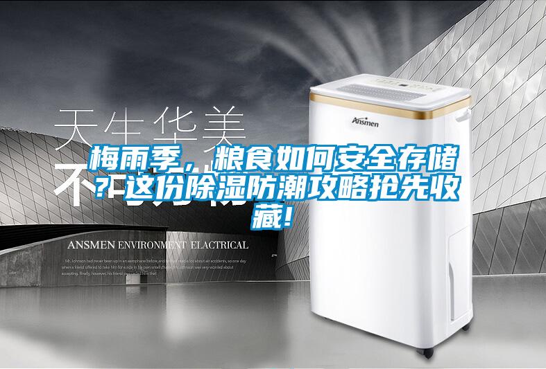 梅雨季，糧食如何安全存儲(chǔ)？這份除濕防潮攻略搶先收藏!