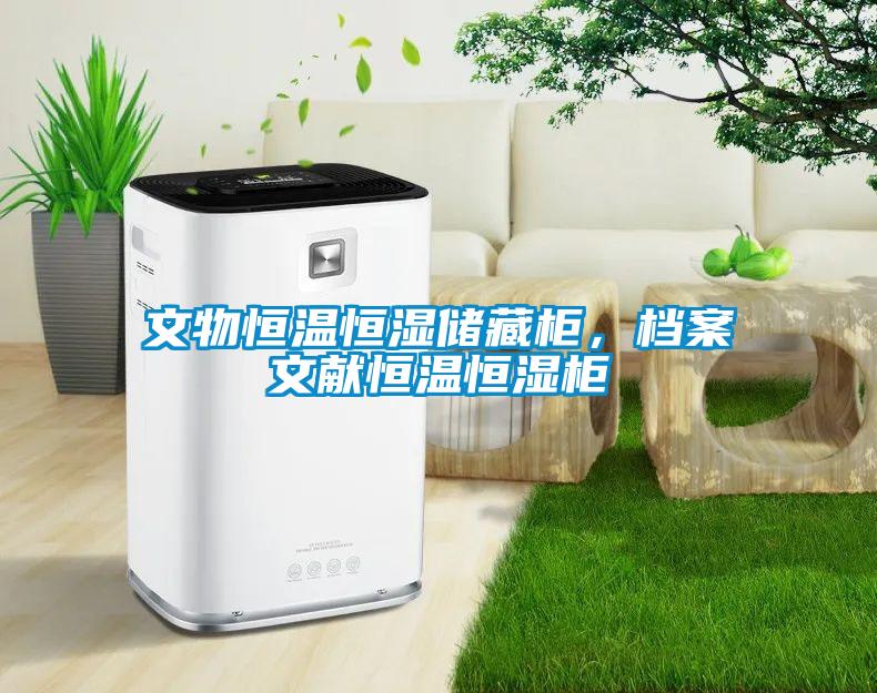 文物恒溫恒濕儲(chǔ)藏柜，檔案文獻(xiàn)恒溫恒濕柜