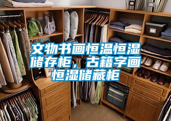 文物書畫恒溫恒濕儲存柜，古籍字畫恒濕儲藏柜