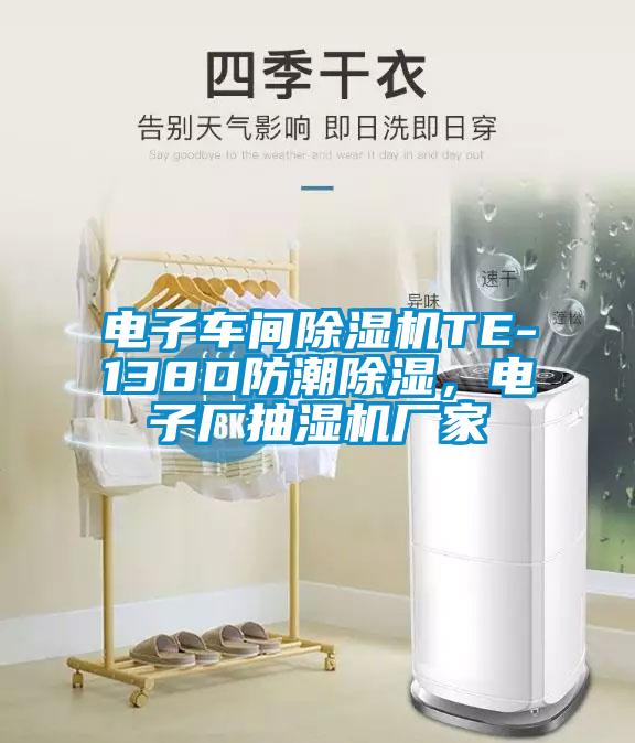 電子車間除濕機(jī)TE-138D防潮除濕，電子廠抽濕機(jī)廠家