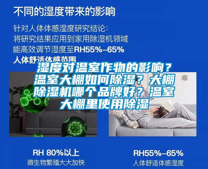 濕度對溫室作物的影響？溫室大棚如何除濕？大棚除濕機哪個品牌好？溫室大棚里使用除濕