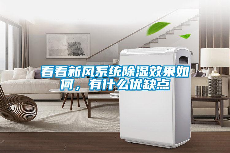 看看新風系統(tǒng)除濕效果如何，有什么優(yōu)缺點