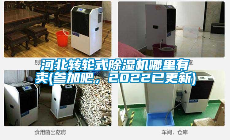 河北轉(zhuǎn)輪式除濕機(jī)哪里有賣(mài)(參加吧，2022已更新)