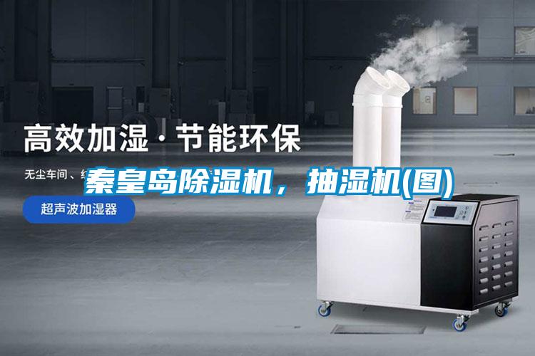 秦皇島除濕機(jī)，抽濕機(jī)(圖)