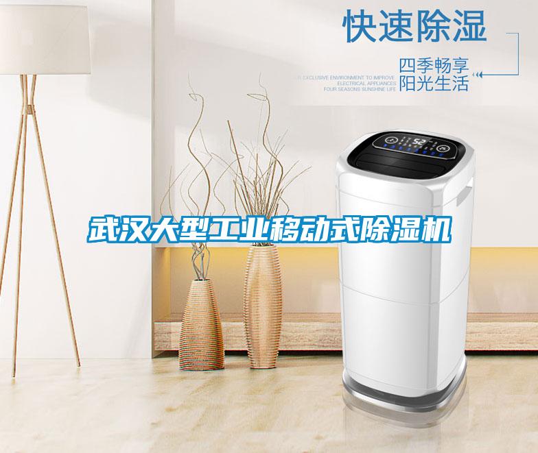 武漢大型工業(yè)移動(dòng)式除濕機(jī)