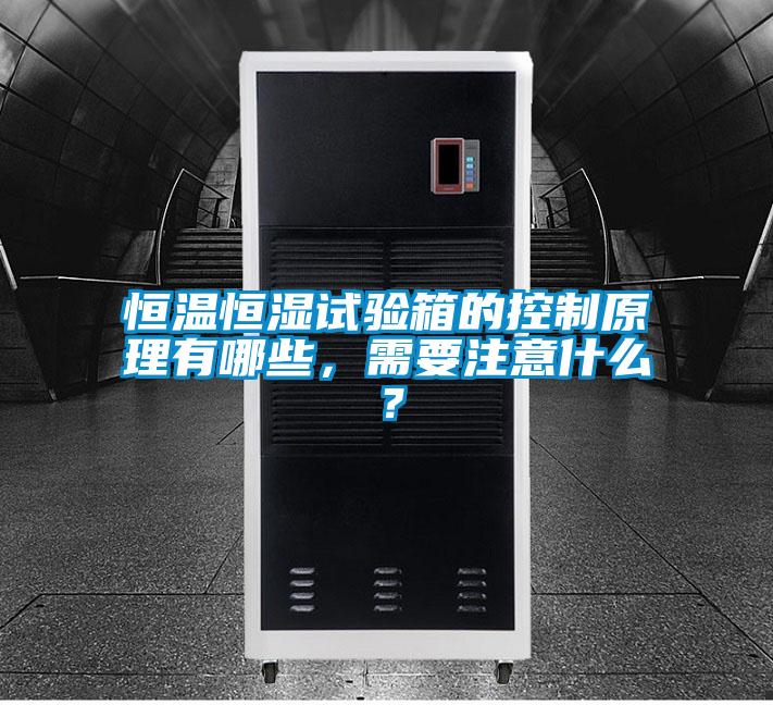 恒溫恒濕試驗(yàn)箱的控制原理有哪些，需要注意什么？