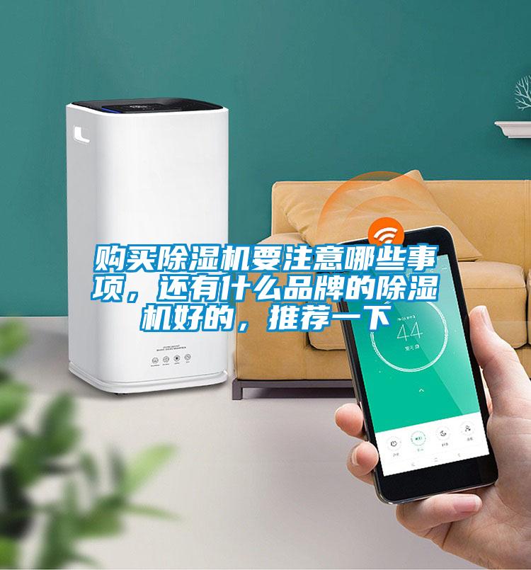購(gòu)買除濕機(jī)要注意哪些事項(xiàng)，還有什么品牌的除濕機(jī)好的，推薦一下