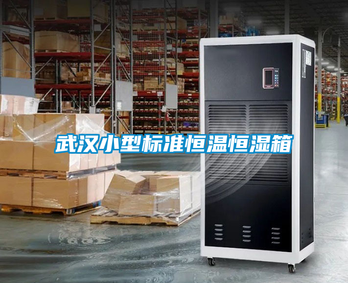 武漢小型標(biāo)準(zhǔn)恒溫恒濕箱