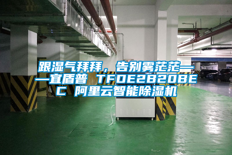 跟濕氣拜拜，告別霧茫?！硕芷?TFDE2B20BEC 阿里云智能除濕機(jī)