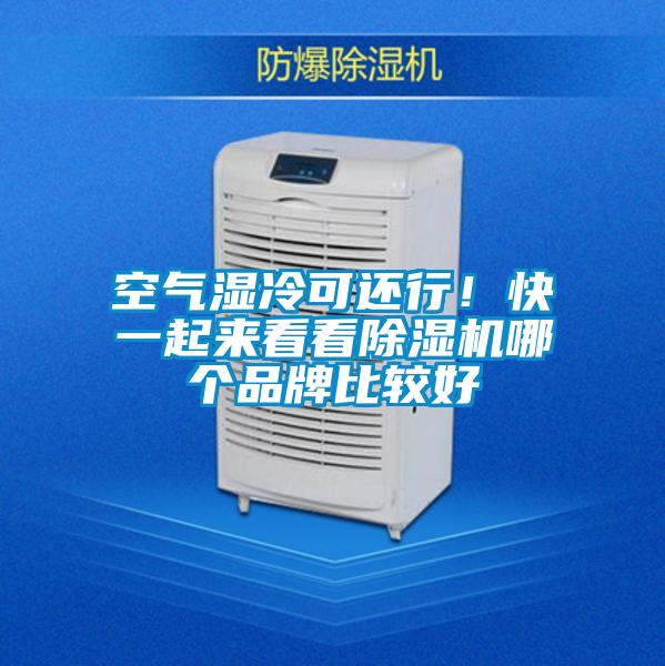 空氣濕冷可還行！快一起來(lái)看看除濕機(jī)哪個(gè)品牌比較好