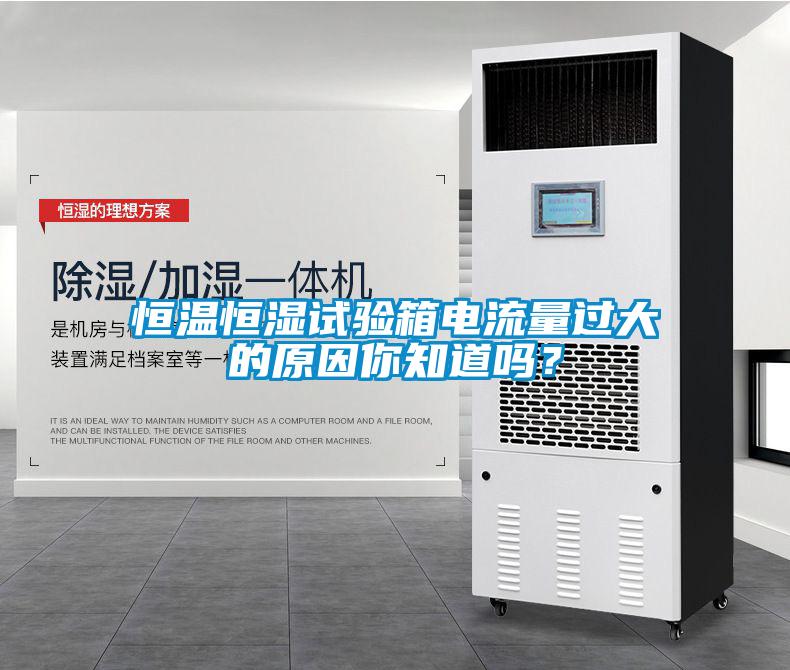 恒溫恒濕試驗(yàn)箱電流量過大的原因你知道嗎？