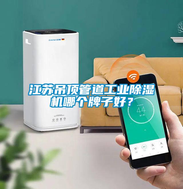 江蘇吊頂管道工業(yè)除濕機(jī)哪個(gè)牌子好？