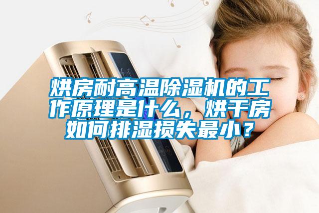 烘房耐高溫除濕機的工作原理是什么，烘干房如何排濕損失最?。?/></p>
<p style=