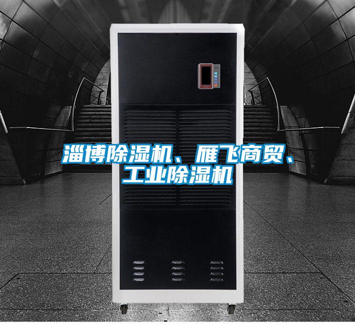 淄博除濕機(jī)、雁飛商貿(mào)、工業(yè)除濕機(jī)