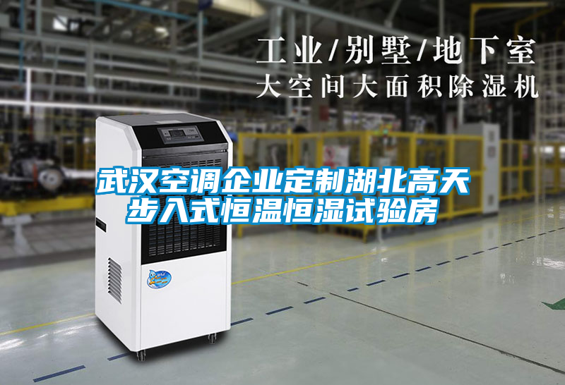 武漢空調企業(yè)定制湖北高天步入式恒溫恒濕試驗房