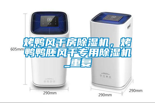 烤鴨風(fēng)干房除濕機(jī)，烤鴨鴨胚風(fēng)干專用除濕機(jī)_重復(fù)