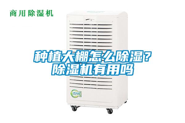 種植大棚怎么除濕？除濕機(jī)有用嗎