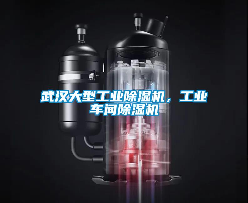 武漢大型工業(yè)除濕機(jī)，工業(yè)車間除濕機(jī)