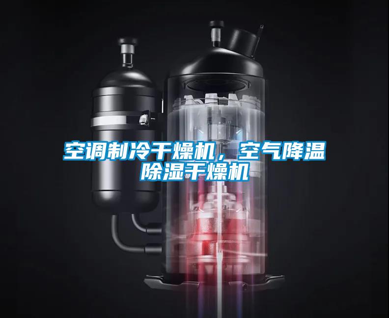 空調(diào)制冷干燥機(jī)，空氣降溫除濕干燥機(jī)