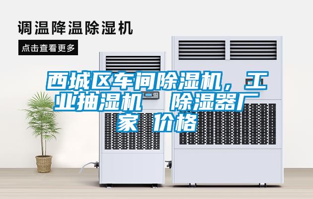 西城區(qū)車間除濕機(jī)，工業(yè)抽濕機(jī)  除濕器廠家 價格