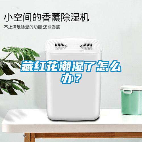 藏紅花潮濕了怎么辦？